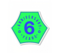 6-Year Anniversary Pin