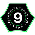 9-Year Anniversary Pin